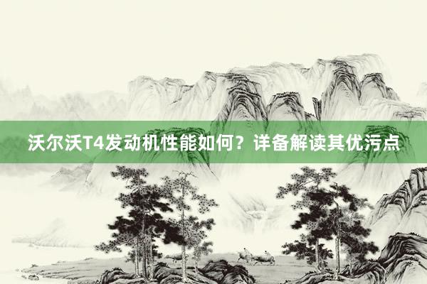 沃尔沃T4发动机性能如何？详备解读其优污点